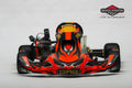 Kart BRIGGS & STRATTON CRG Senior/Master (Pronto pista)